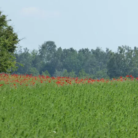 Fewo Bei Grazyna * Mikołajki